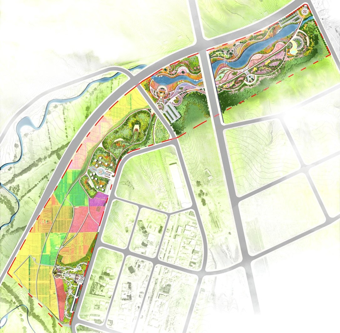 新疆昌吉两河榆树林带生态修复及景观建设工程