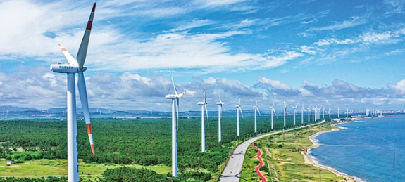 双碳标杆之路，绿